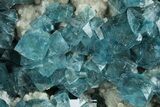 Cubic, Blue-Green Fluorite Crystals on Druzy Quartz - Fluorescent #185464-4